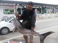 KILIÇ BALIĞI - Balıkçıların Ağlarına Dev Kılıç Balığı Takıldı