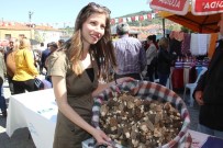 Fethiye'de Kuzugöbeği Mantarı Festivali Başladı