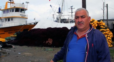 Giresunlu Balıkçılar Bu Yıl Ki Balık Av Sezonundan Memnun