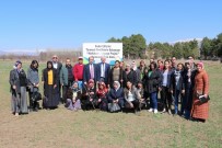 SALIH KESKIN - Kadın Çiftçilerle Kiraz Bahçesi Demonstrasyonu Yapıldı