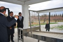 MUSTAFA TOPRAK - Kayısıda Yeni Sistem