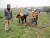 Malkara'da 250 Fidan Toprakla Buluştu