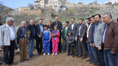 Nevşehir'de 30 Bin Sedir Çam Fidanı Dağıtıldı