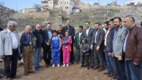 MURAT GÖKTÜRK - Nevşehir'de 30 Bin Sedir Çam Fidanı Dağıtıldı