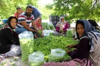 DALAMA - İşçi Bayramı'nın Öteki Yüzü