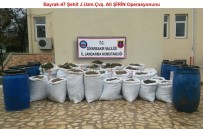 DİYARBAKIR VALİLİĞİ - Diyarbakır'da Zehir Bataklığı Kurutuluyor