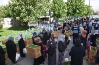 MIMARSINAN - Domates Fiyatları Arttı, Vatandaşlar Belediyenin Dağıttığı Domates Fidelerine Akın Etti