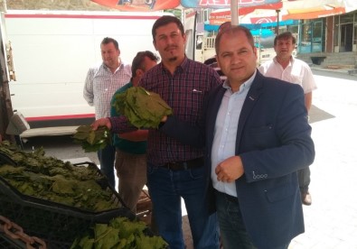 Hisarcık'ta Asma Yaprağına Talep Arttı