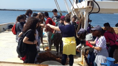 Öğrenciler Balıkçı Gemilerini Gezdi