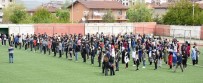 SAĞLIK MESLEK LİSESİ - Öğrenciler Sağlık İçin Hareket Etti