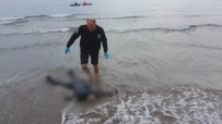 KİMLİK TESPİTİ - Samsun'da denizde erkek cesedi bulundu