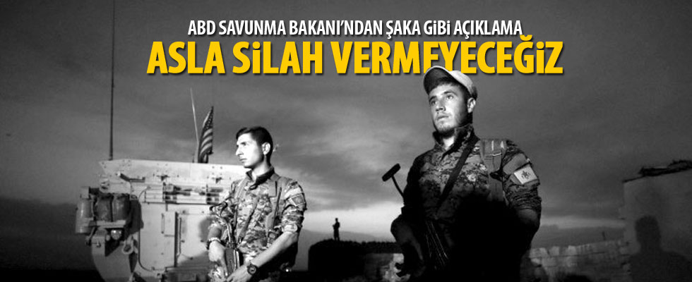 ABD Savunma Bakanı: Onlara asla silah vermeyeceğiz