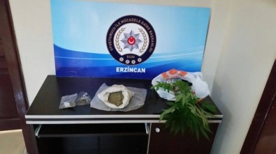 Erzincan'da Uyuşturucu Operasyonu