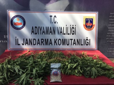 Jandarma Uyuşturucuya Geçit Vermiyor