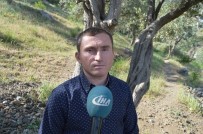 Saruhanlı'da Görülen Dev Yılanlar Korkuttu