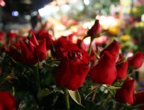 İSMAİL DEMİR - 'Anneler Günü' çiçek satışlarını patlattı