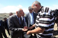 Efsane Kavun 'Yuva'sına Döndü