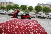 Oltu'ya Dolu Yağdı