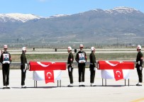TENDÜREK DAĞI - Tendürek Şehitleri İçin Tören