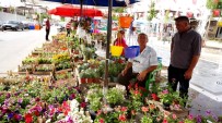 Bayındır'ın Çiçekleri Sarıgöl'ü Süslüyor