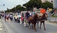 APOLLON TAPINAĞI - Didim'de Engelliler Haftası 3 Gün Kutlanacak