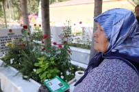ŞEHİT ANNELERİ - Onlar Anneler Günü'nde Şehit Evlatlarına Gidiyor