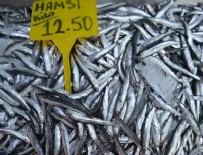 BARBUNYA - Balıkçılara 'hamsi' sürprizi