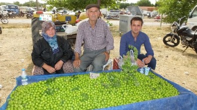 Burhaniye'de Yerli Ürünler Pazarda Yerini Aldı