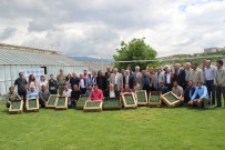 Tokat'ta 1.5 Milyon Sebze Fidesi Dağıtılacak