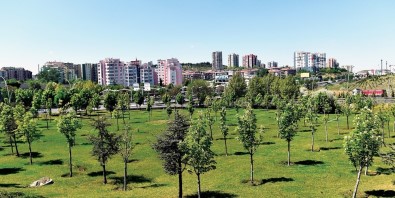 Başkent'te 150 Bin Ağaç Toprakla Buluşacak