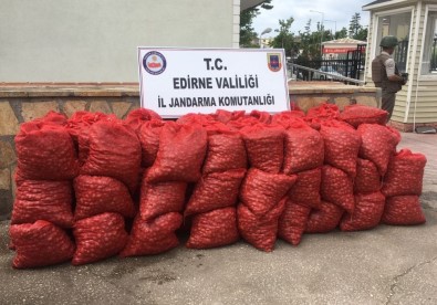 Edirne'de 70 Bin TL'lik Kaçak Midye Ele Geçirildi