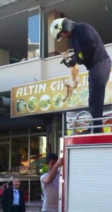 Mahsur Kalan Kediyi İtfaiye Ekipleri Kurtardı