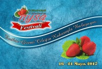UFUK YILDIRIM - Sultanhisar'da Çilek Festivali Hazırlıkları Tamamlandı