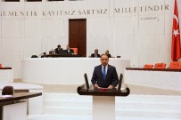 SULTAN ABDULAZIZ - AK Parti'li Baybatur, Çerkes Sürgününü Meclise Taşıdı