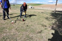 Aksaray'da Müstakil Bir Evin Müştemilatına Giren Yılan Paniğe Neden Oldu