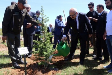 Bingöl'de '15 Temmuz Demokrasi Şehitleri Hatıra Ormanı' Oluşturuldu