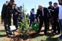 ZIYA POLAT - Bingöl'de '15 Temmuz Demokrasi Şehitleri Hatıra Ormanı' Oluşturuldu