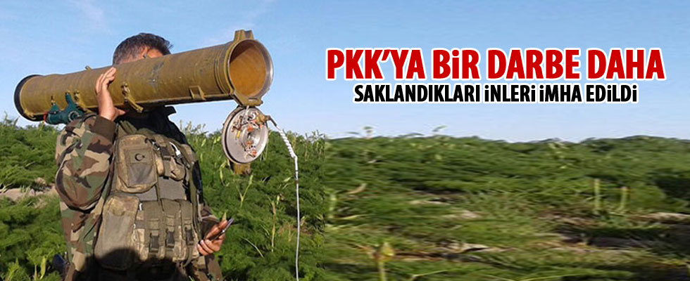 Terör örgütüne operasyonlar devam ediyor