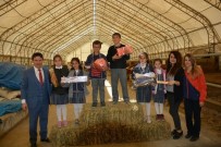 KANDILLI - Aşkale'de Süt Haftası Etkinliği