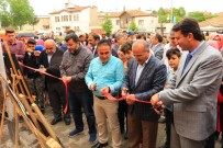 MEHMET BAYıNDıR - Beyşehir'de Okullarda Bilim Fuarı Açılışları