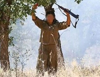 Mehmetçik terör örgütü PKK'ya Tendürek'i dar etti