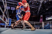 BOKSÖR - Milli Boksörlerden 1 Gümüş, 1 Bronz