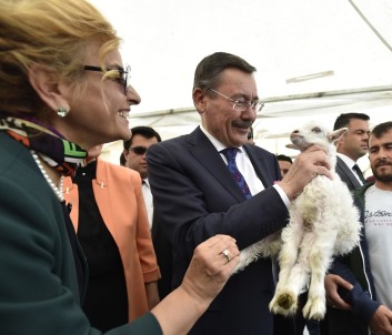 Türkiye'nin İlk Çoban Fuarı Ankara'da Açıldı