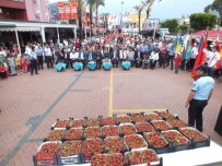 HALUK ŞIMŞEK - 4. Kültür, Turizm Ve Çilek Festivali Başladı