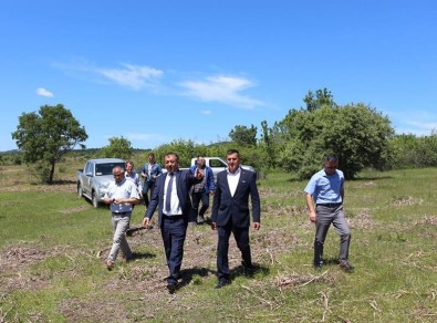 Edirne'de Karaçalı Mücadelesi