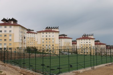 Edremit Belediyesinden Yeni TOKİ'ye Spor Sahası