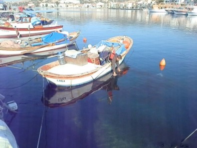 Foça'da Sürdürülebilir Balıkçılık Çalıştayı Yapılacak
