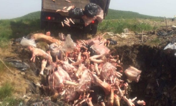 2 ton kaçak et imha edildi!