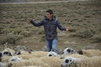Göçebe Çoban, Zorlu Yaşam Koşulları Nedeniyle Hiç Şehir Görmedi