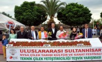OSMAN YıLDıRıMKAYA - Aydın'da En İyi Çilek Yetiştiricileri Belirlendi